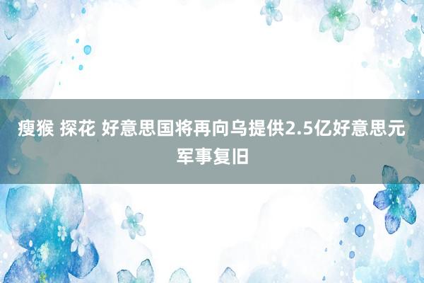 瘦猴 探花 好意思国将再向乌提供2.5亿好意思元军事复旧