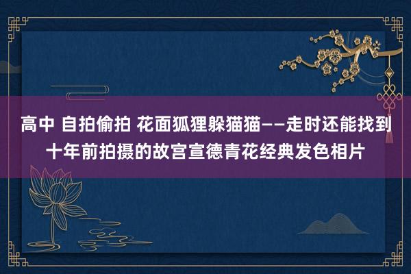 高中 自拍偷拍 花面狐狸躲猫猫——走时还能找到十年前拍摄的故宫宣德青花经典发色相片