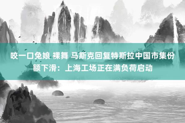 咬一口兔娘 裸舞 马斯克回复特斯拉中国市集份额下滑：上海工场正在满负荷启动