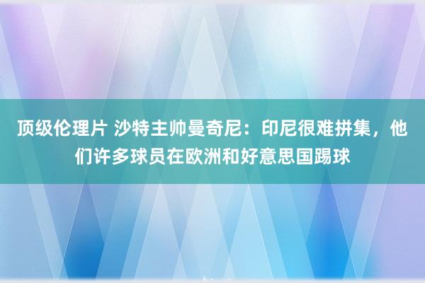 顶级伦理片 沙特主帅曼奇尼：印尼很难拼集，他们许多球员在欧洲和好意思国踢球