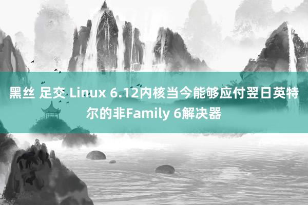 黑丝 足交 Linux 6.12内核当今能够应付翌日英特尔的非Family 6解决器