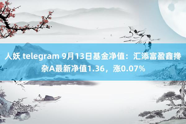 人妖 telegram 9月13日基金净值：汇添富盈鑫搀杂A最新净值1.36，涨0.07%