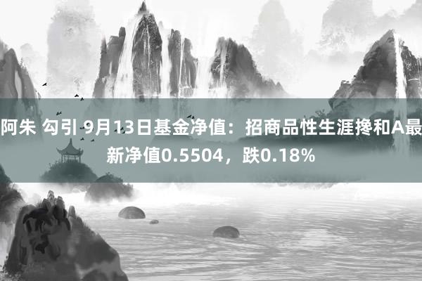 阿朱 勾引 9月13日基金净值：招商品性生涯搀和A最新净值0.5504，跌0.18%