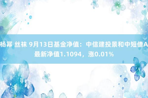 杨幂 丝袜 9月13日基金净值：中信建投景和中短债A最新净值1.1094，涨0.01%