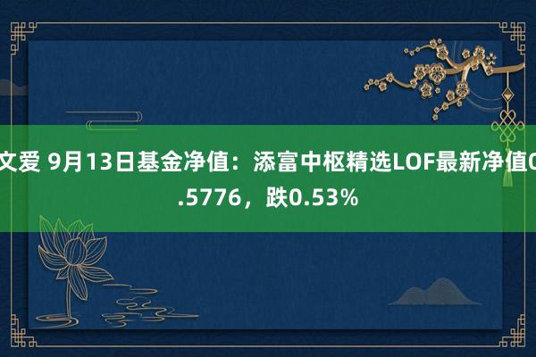 文爱 9月13日基金净值：添富中枢精选LOF最新净值0.5776，跌0.53%