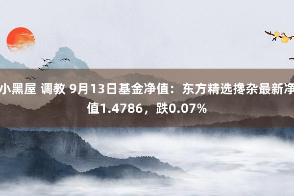 小黑屋 调教 9月13日基金净值：东方精选搀杂最新净值1.4786，跌0.07%