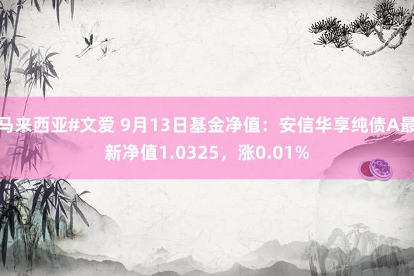 马来西亚#文爱 9月13日基金净值：安信华享纯债A最新净值1.0325，涨0.01%