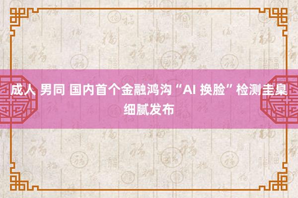 成人 男同 国内首个金融鸿沟“AI 换脸”检测圭臬细腻发布