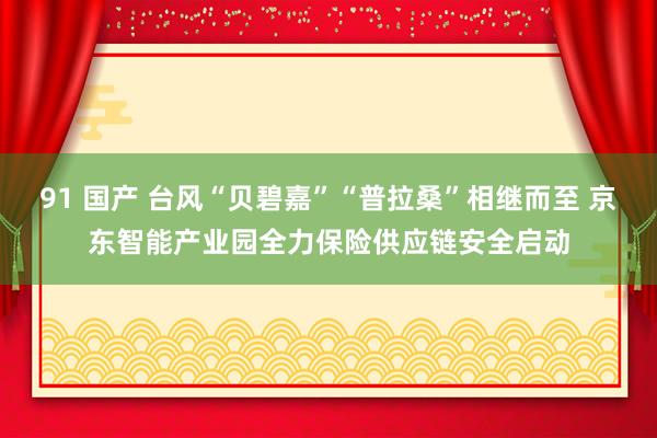 91 国产 台风“贝碧嘉”“普拉桑”相继而至 京东智能产业园全力保险供应链安全启动