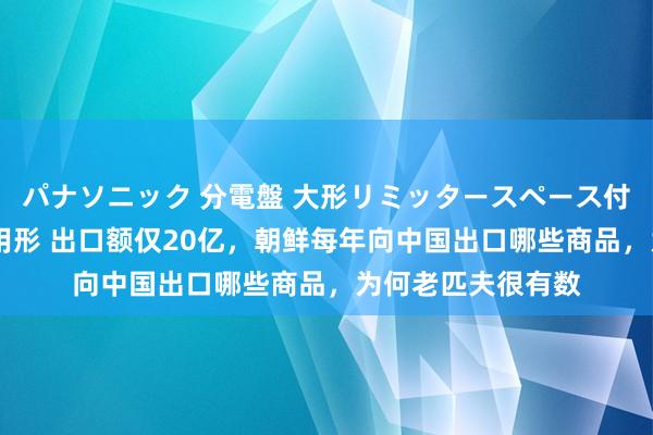 パナソニック 分電盤 大形リミッタースペース付 露出・半埋込両用形 出口额仅20亿，朝鲜每年向中国出口哪些商品，为何老匹夫很有数