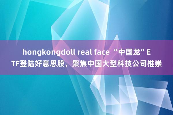 hongkongdoll real face “中国龙”ETF登陆好意思股，聚焦中国大型科技公司推崇