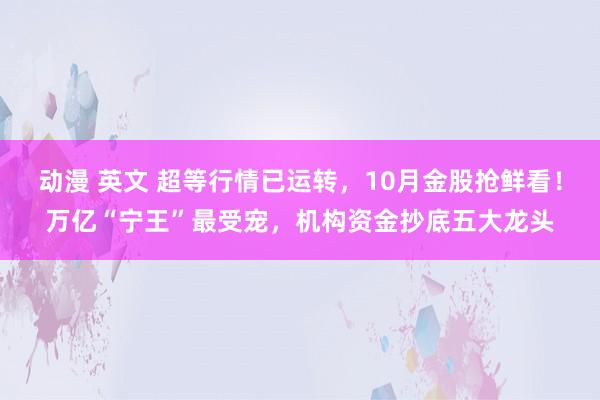 动漫 英文 超等行情已运转，10月金股抢鲜看！万亿“宁王”最受宠，机构资金抄底五大龙头