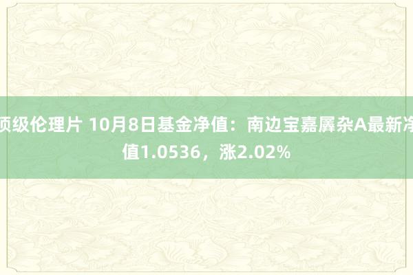 顶级伦理片 10月8日基金净值：南边宝嘉羼杂A最新净值1.0536，涨2.02%