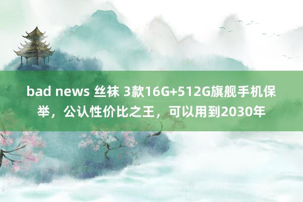 bad news 丝袜 3款16G+512G旗舰手机保举，公认性价比之王，可以用到2030年