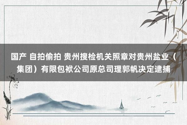 国产 自拍偷拍 贵州搜检机关照章对贵州盐业（集团）有限包袱公司原总司理郭帆决定逮捕