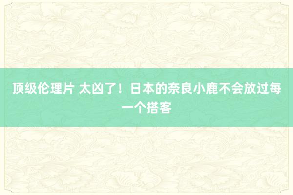 顶级伦理片 太凶了！日本的奈良小鹿不会放过每一个搭客