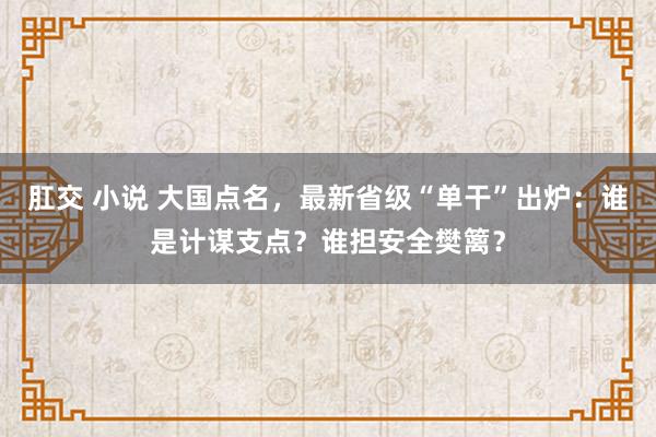 肛交 小说 大国点名，最新省级“单干”出炉：谁是计谋支点？谁担安全樊篱？