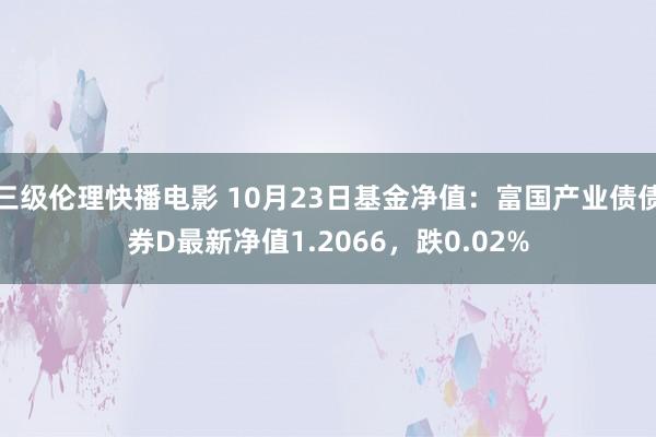 三级伦理快播电影 10月23日基金净值：富国产业债债券D最新净值1.2066，跌0.02%