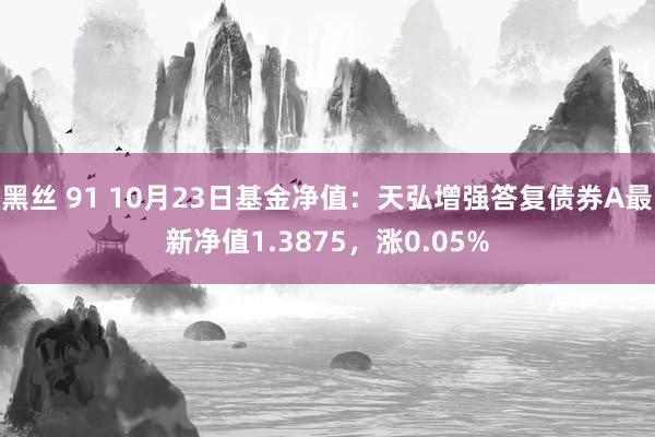 黑丝 91 10月23日基金净值：天弘增强答复债券A最新净值1.3875，涨0.05%