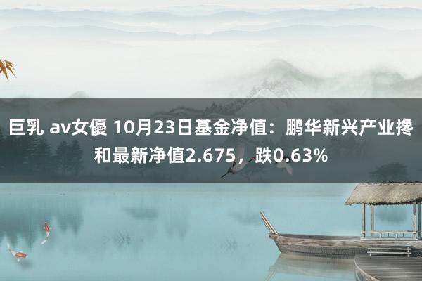 巨乳 av女優 10月23日基金净值：鹏华新兴产业搀和最新净值2.675，跌0.63%