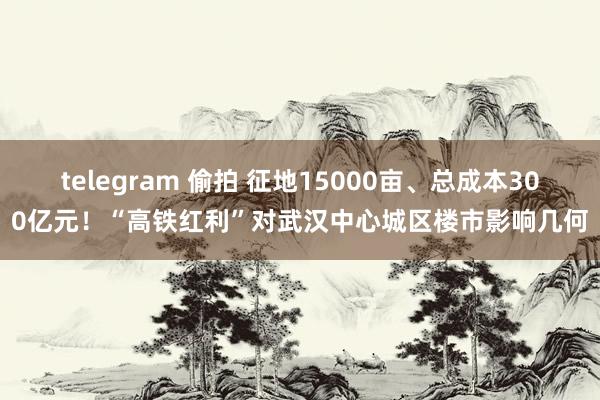 telegram 偷拍 征地15000亩、总成本300亿元！“高铁红利”对武汉中心城区楼市影响几何