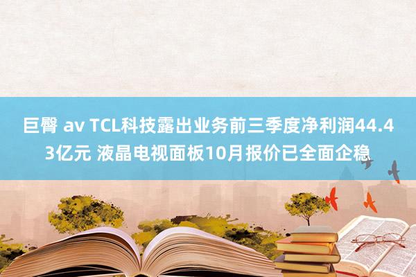 巨臀 av TCL科技露出业务前三季度净利润44.43亿元 液晶电视面板10月报价已全面企稳