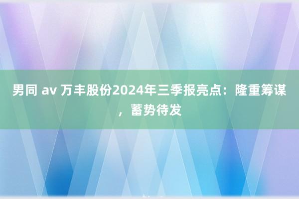 男同 av 万丰股份2024年三季报亮点：隆重筹谋，蓄势待发