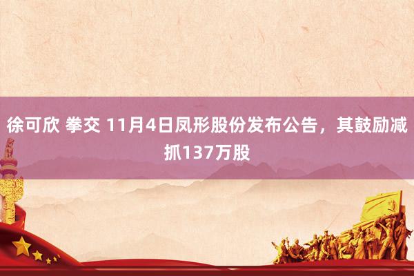 徐可欣 拳交 11月4日凤形股份发布公告，其鼓励减抓137万股