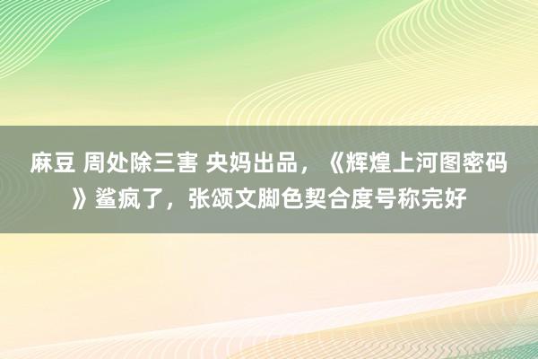 麻豆 周处除三害 央妈出品，《辉煌上河图密码》鲨疯了，张颂文脚色契合度号称完好