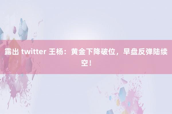 露出 twitter 王杨：黄金下降破位，早盘反弹陆续空！