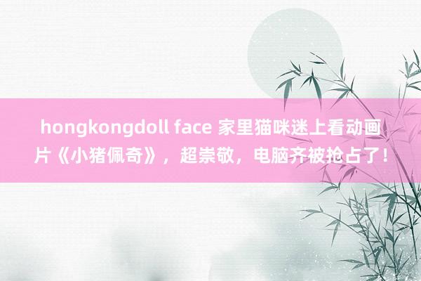 hongkongdoll face 家里猫咪迷上看动画片《小猪佩奇》，超崇敬，电脑齐被抢占了！