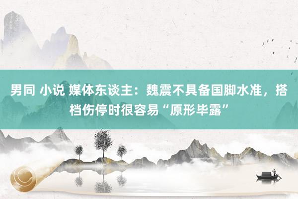 男同 小说 媒体东谈主：魏震不具备国脚水准，搭档伤停时很容易“原形毕露”