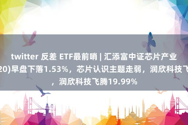 twitter 反差 ETF最前哨 | 汇添富中证芯片产业ETF(516920)早盘下落1.53%，芯片认识主题走弱，润欣科技飞腾19.99%