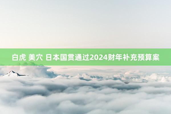 白虎 美穴 日本国贯通过2024财年补充预算案