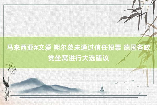 马来西亚#文爱 朔尔茨未通过信任投票 德国各政党坐窝进行大选磋议