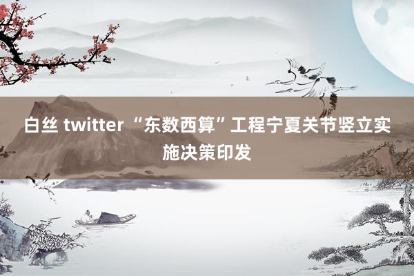 白丝 twitter “东数西算”工程宁夏关节竖立实施决策印发