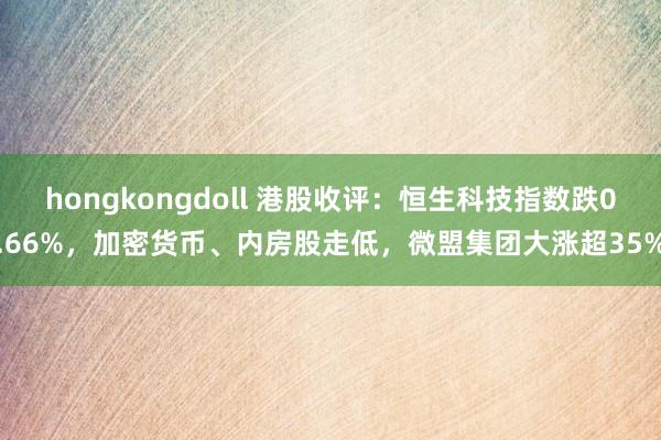 hongkongdoll 港股收评：恒生科技指数跌0.66%，加密货币、内房股走低，微盟集团大涨超35%