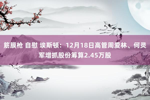 筋膜枪 自慰 埃斯顿：12月18日高管周爱林、何灵军增抓股份筹算2.45万股