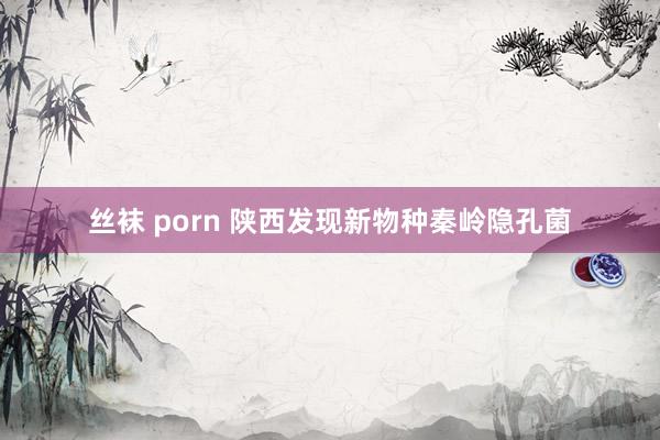 丝袜 porn 陕西发现新物种秦岭隐孔菌