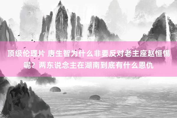 顶级伦理片 唐生智为什么非要反对老主座赵恒惕呢？两东说念主在湖南到底有什么恩仇