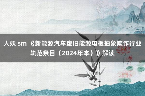 人妖 sm 《新能源汽车废旧能源电板抽象欺诈行业轨范条目（2024年本）》解读