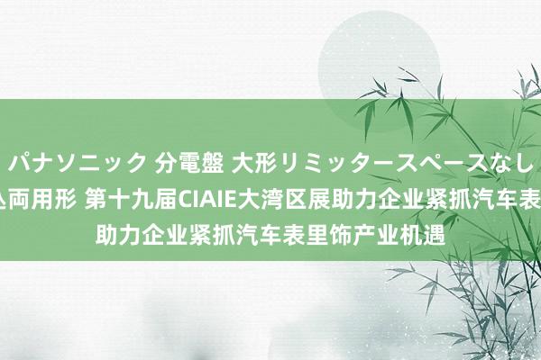 パナソニック 分電盤 大形リミッタースペースなし 露出・半埋込両用形 第十九届CIAIE大湾区展助力企业紧抓汽车表里饰产业机遇