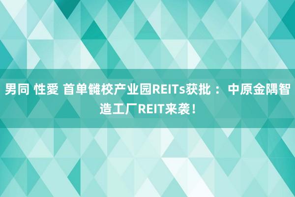 男同 性愛 首单雠校产业园REITs获批 ：中原金隅智造工厂REIT来袭！