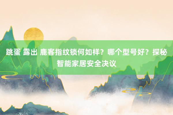 跳蛋 露出 鹿客指纹锁何如样？哪个型号好？探秘智能家居安全决议