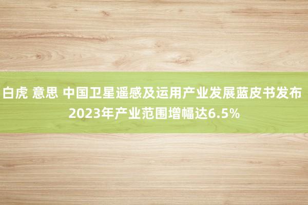 白虎 意思 中国卫星遥感及运用产业发展蓝皮书发布 2023年产业范围增幅达6.5%