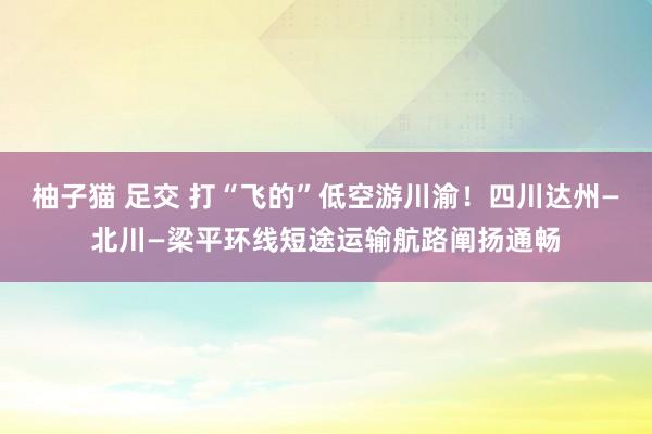 柚子猫 足交 打“飞的”低空游川渝！四川达州—北川—梁平环线短途运输航路阐扬通畅