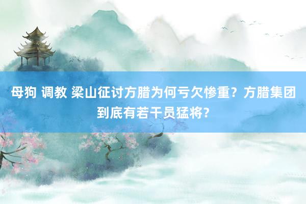 母狗 调教 梁山征讨方腊为何亏欠惨重？方腊集团到底有若干员猛将？