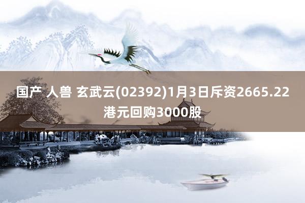 国产 人兽 玄武云(02392)1月3日斥资2665.22港元回购3000股