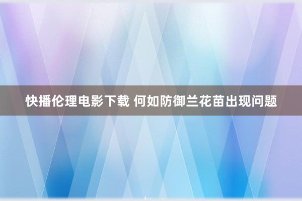 快播伦理电影下载 何如防御兰花苗出现问题