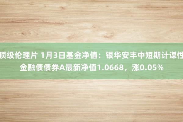 顶级伦理片 1月3日基金净值：银华安丰中短期计谋性金融债债券A最新净值1.0668，涨0.05%